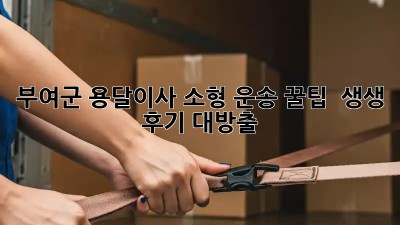 부여군 용달이사🚚 소형 운송 꿀팁 & 생생 후기 대방출!
